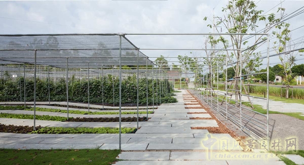 泰國Coro項目一期工程賞析