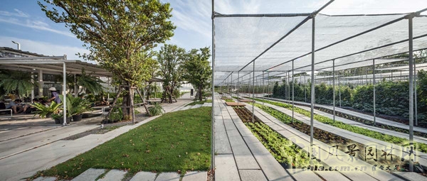 泰國(guó)Coro項(xiàng)目一期工程賞析