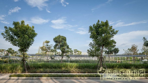 泰國Coro項(xiàng)目一期工程賞析