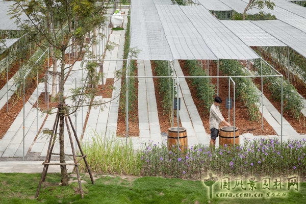 泰國(guó)Coro項(xiàng)目一期工程賞析