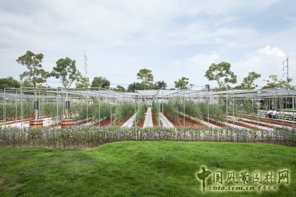 泰國(guó)Coro項(xiàng)目一期工程賞析