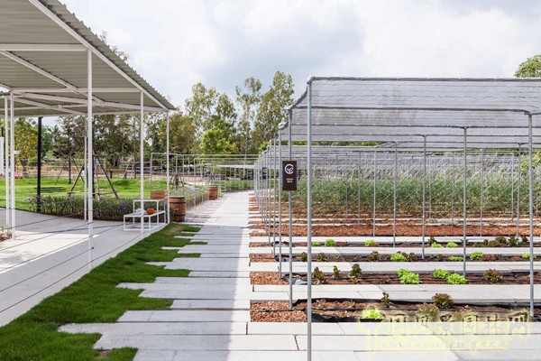 泰國(guó)Coro項(xiàng)目一期工程賞析