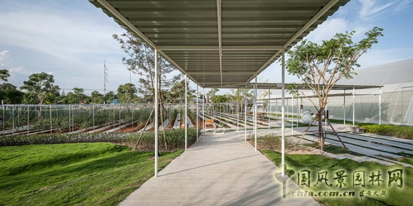 泰國Coro項目一期工程賞析