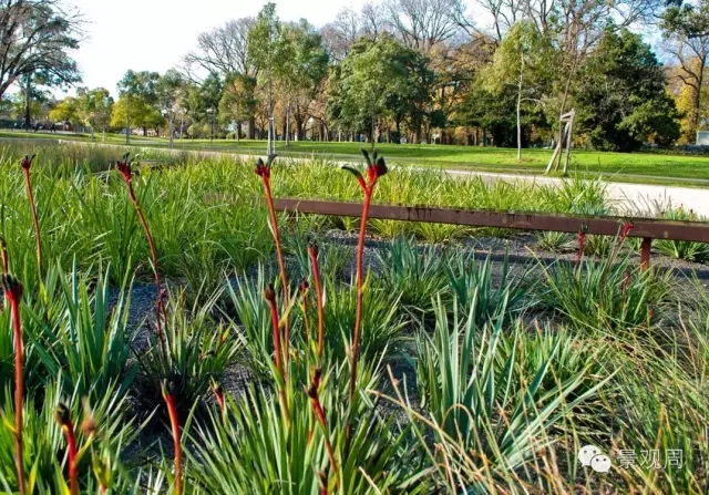 愛(ài)丁堡雨水花園案例
