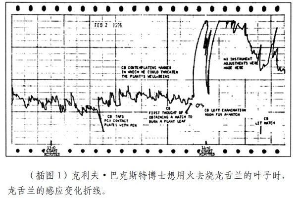 植物的特異功能 巴克斯特效應(yīng)