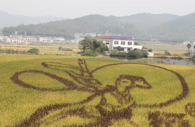 休閑農(nóng)業(yè)景觀設(shè)計(jì)之“大地藝術(shù)”