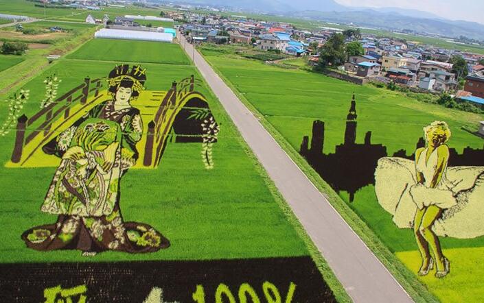 休閑農(nóng)業(yè)景觀設(shè)計(jì)之“大地藝術(shù)”