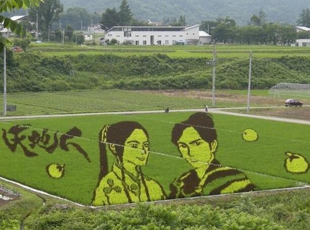 休閑農業景觀設計之“大地藝術”