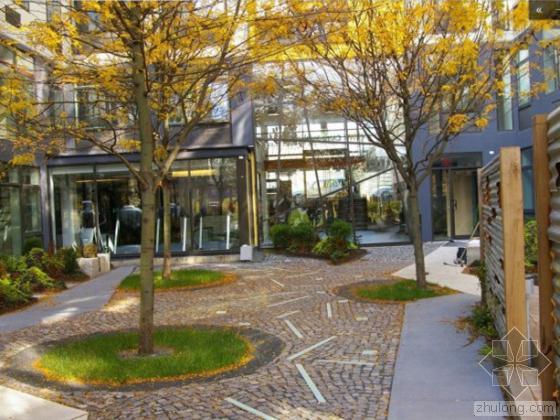 美國Bushwick城市庭院景觀