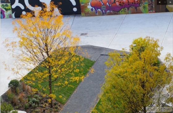 美國Bushwick城市庭院景觀