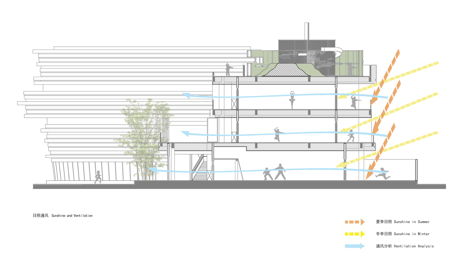 案例賞析：看得見森林的幼兒園