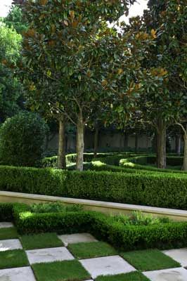 時(shí)尚圖案與植物設(shè)計(jì)碰撞出的火花