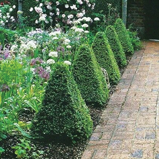 時尚圖案與植物設計碰撞出的火花