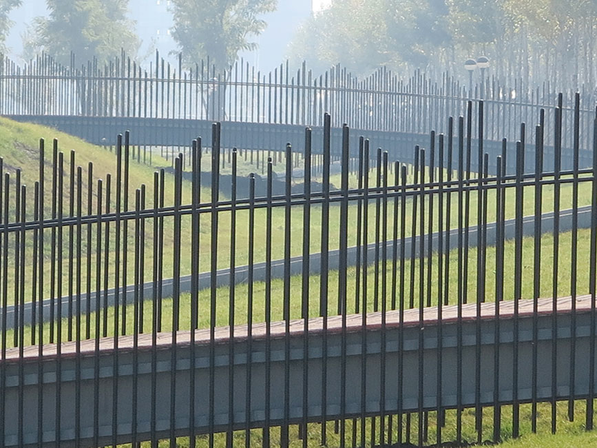 時尚圖案與植物設計碰撞出的火花