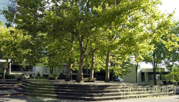 美西考察（波特蘭站）