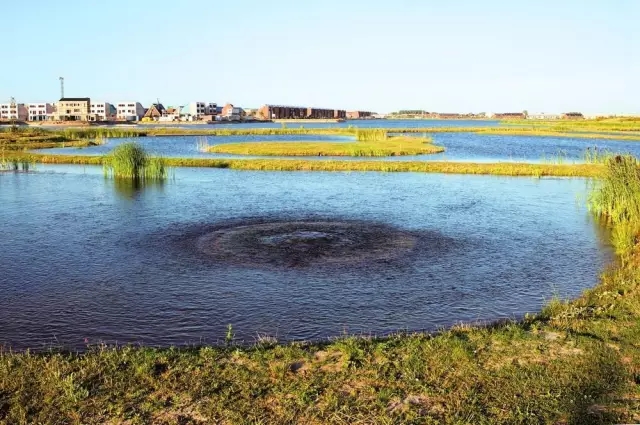 水的凈化器：荷蘭盧納公園景觀