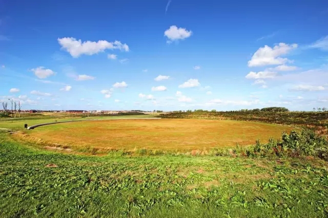 水的凈化器：荷蘭盧納公園景觀