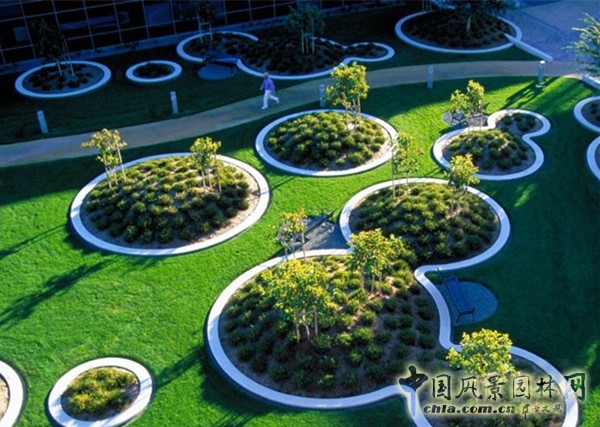 8月9日頭條：美西考察（加州站）：SWA大師的方圓經典