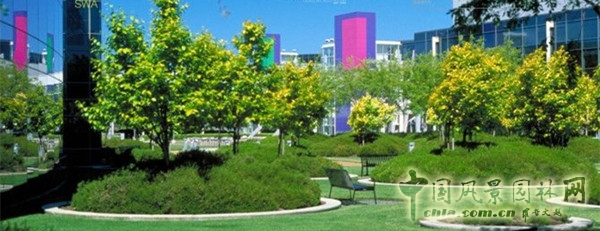 8月9日頭條:美西考察(加州站):SWA大師的方圓經典