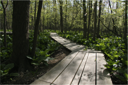 2013 加拿大皇家銀行藍(lán)色水屋頂花園
