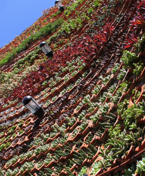 2013 加拿大皇家銀行藍色水屋頂花園