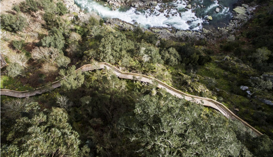 Paiva Walkways絕妙的8公里觀景人行道