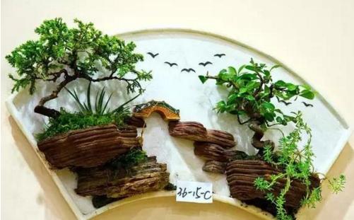 盆景七大類，你都知道嗎？