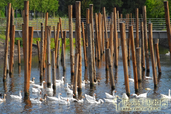 8月19日頭條:辛克爾群島(SCHINKELISLANDS)景觀項目賞析
