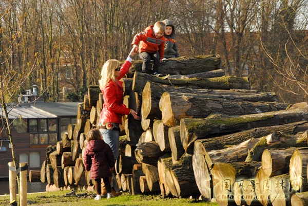 8月19日頭條:辛克爾群島(SCHINKELISLANDS)景觀項目賞析