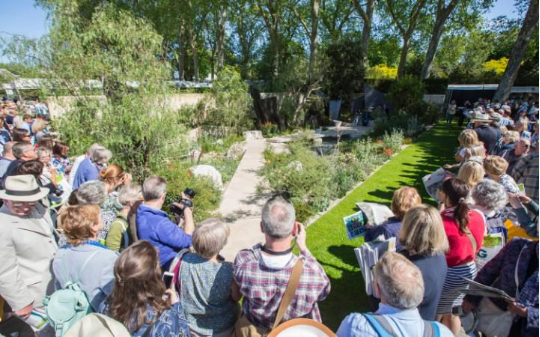 2016 Chelsea Flower Show 切爾西花展最佳作品獎——Telegraph garden 