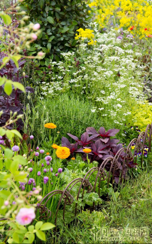 2016英國切爾西花展銀鍍金獎(jiǎng)作品賞析