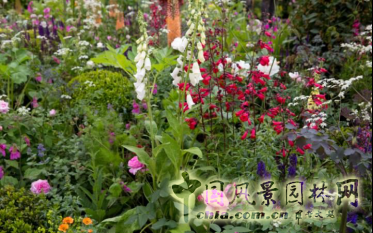2016英國切爾西花展銀鍍金獎作品賞析