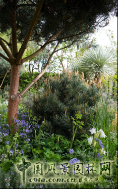 2016英國切爾西花展銀鍍金獎作品賞析