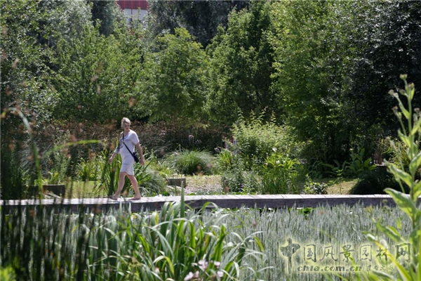 【8月23日頭條】法國LE PARC DU CHEMIN DE L’ILE濱水公園