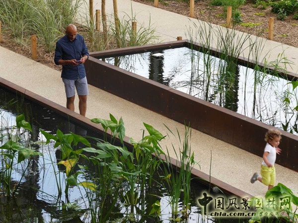 8月31日頭條：羅莎盧森堡花園項目賞析