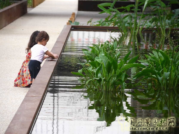8月31日頭條：羅莎盧森堡花園項目賞析