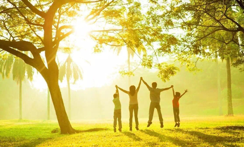 北京市將建設三大系統 四大體系打造智慧園林系統