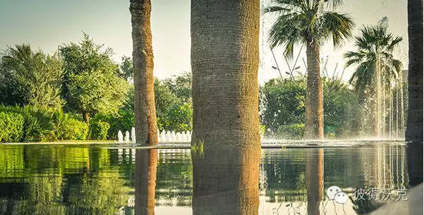 科威特憲法公園景觀設(shè)計(jì)