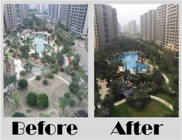 【棕櫚工程】杭州濱江金色黎明清涼夏日小筑