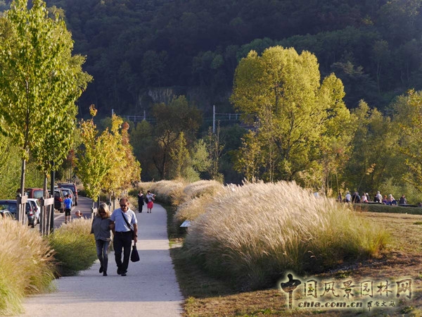 9月9日頭條:里昂索恩河Rochetaillee改造項目賞析