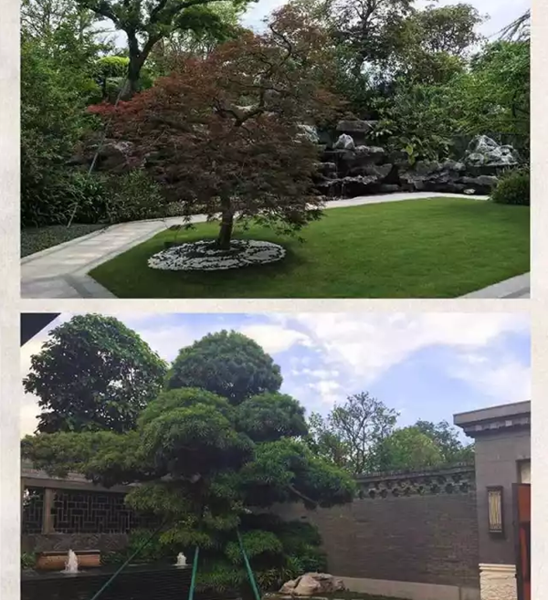 【棕櫚工程】泰禾廈門院子:中式美學的詩意空間