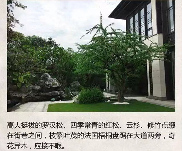 【棕櫚工程】泰禾廈門院子:中式美學的詩意空間