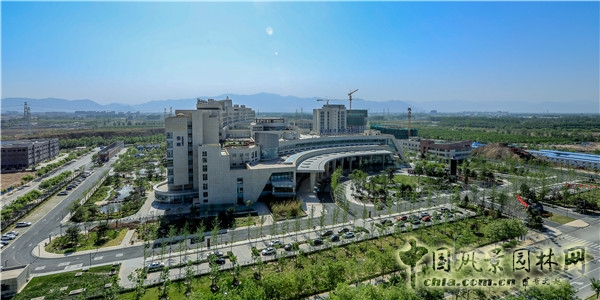 郭麗文:北大國際醫院園林的傳統文化特色