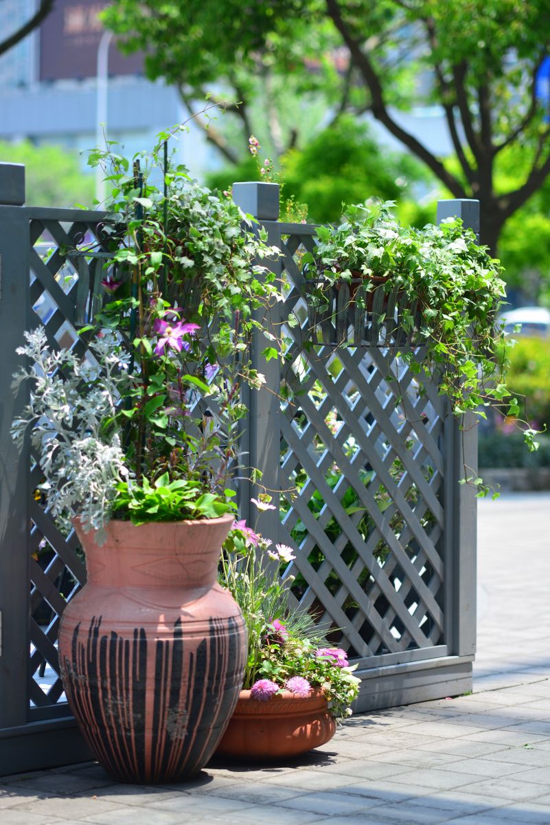 億朵園藝微花展作品榮登2016設計之都創意推薦榜