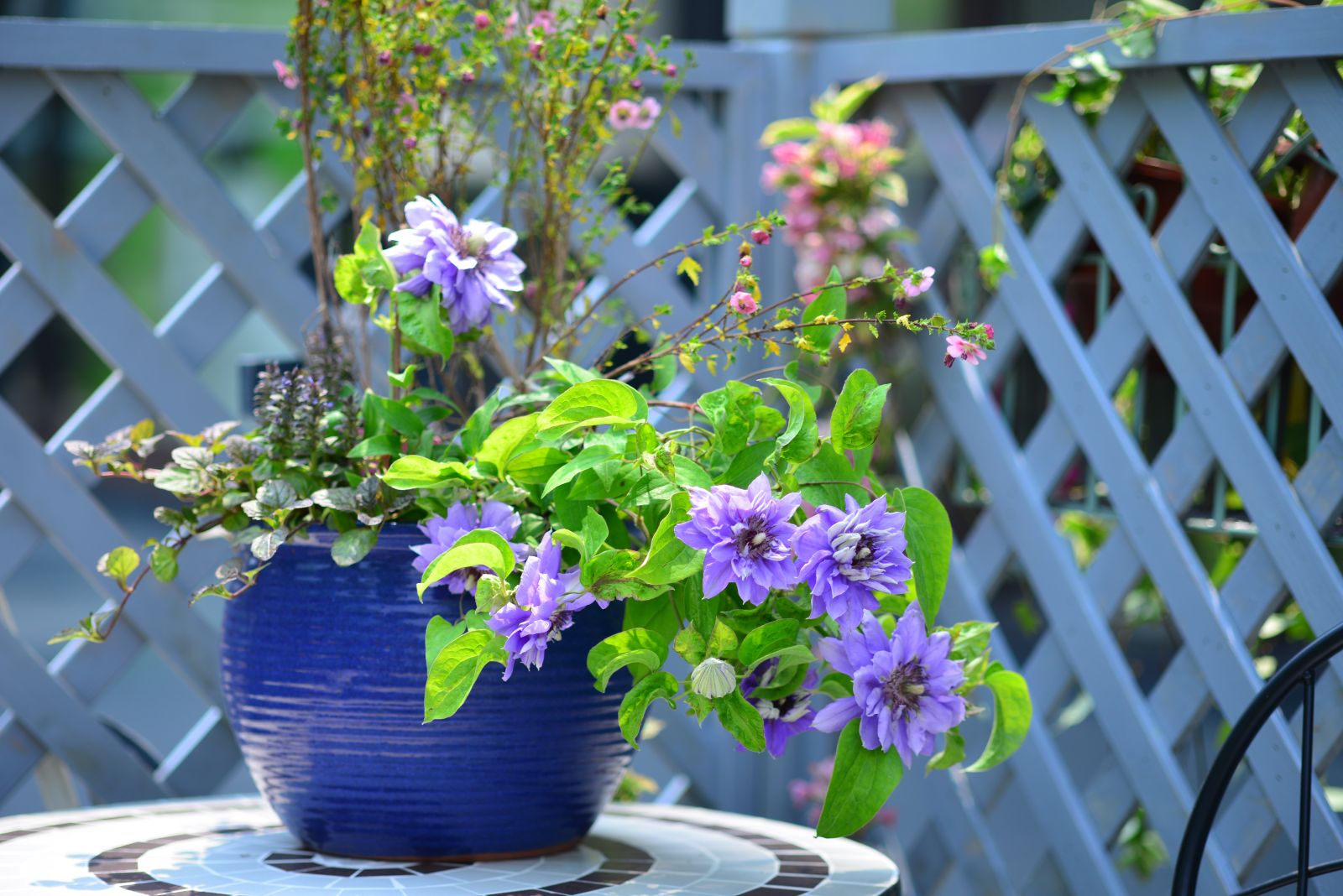 億朵園藝微花展作品榮登2016設計之都創意推薦榜