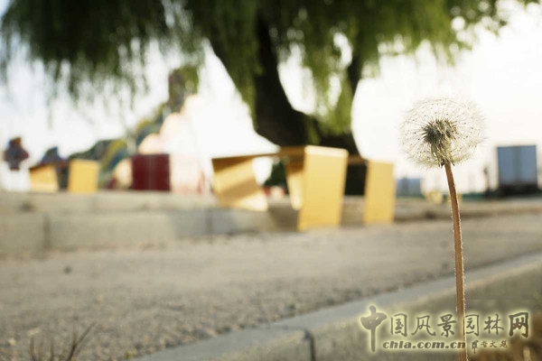 9月23號頭條：意大利綠色廣場項目賞析