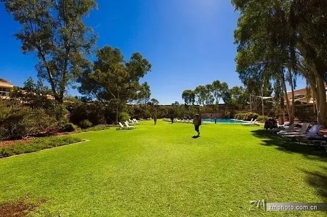 景觀植物分類型配置標(biāo)準(zhǔn)化