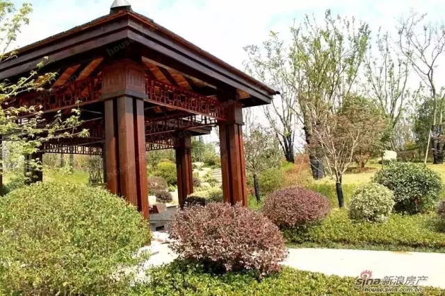 景觀植物分類型配置標準化