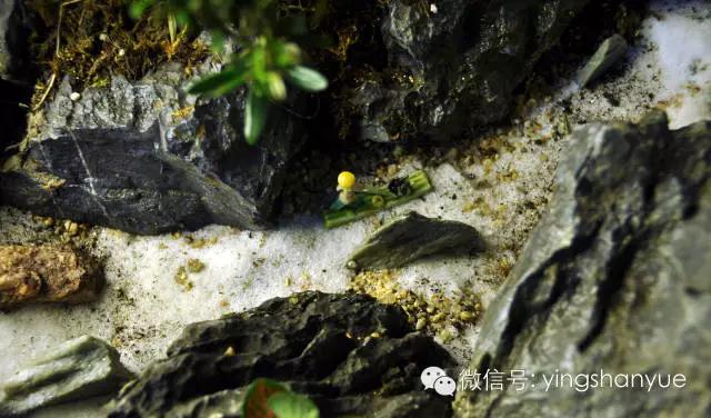 墨爻盆景作品:春之寄盼 恰似眼前——春靄曉色