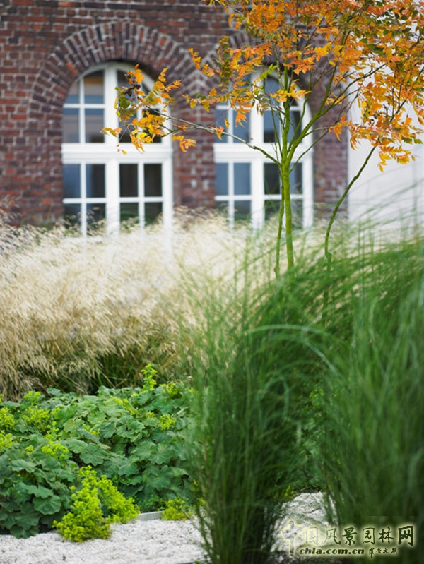 9月30頭條：索林根市政廣場項目賞析